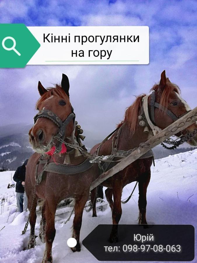 "Ізківський Затишок" Село Ізки酒店 外观 照片